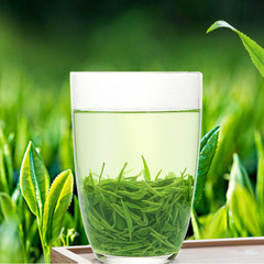 New Tea Maojian Tea, Aromatic High Mountain Cloud Mist Green Tea Loose Leaf, Wholesale, Not Xinyang Maojian Green Tea