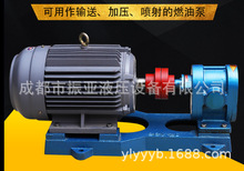 2CY-2.1/2.5齒輪泵/潤滑泵/增壓燃油泵/齒輪油泵/輸油泵/高壓油泵