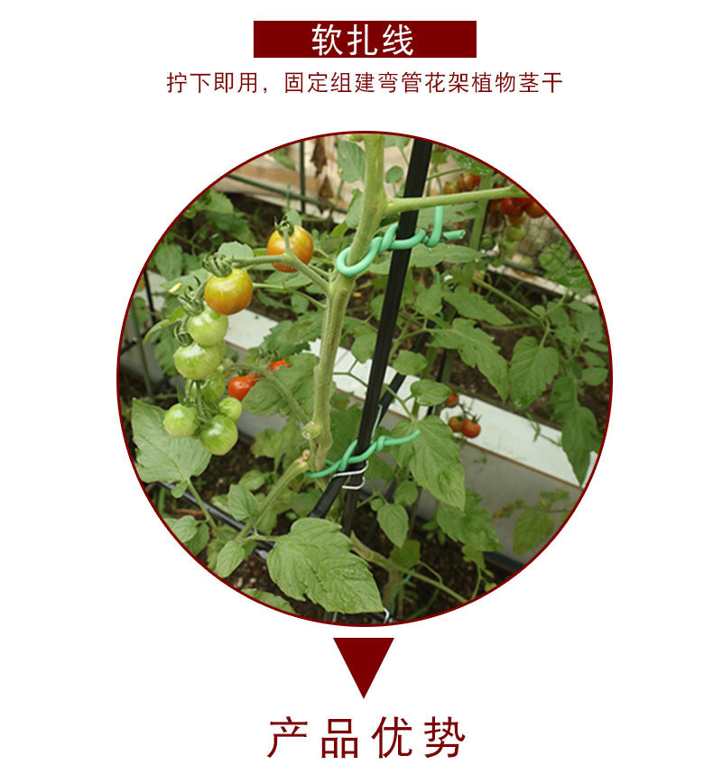 IMG_2751(20200622-094727)