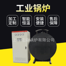 WNS8.0-1.25-QY���͹��I����偠t8��13����ȫ�Ԅ���ʽȼ�͚�F؛