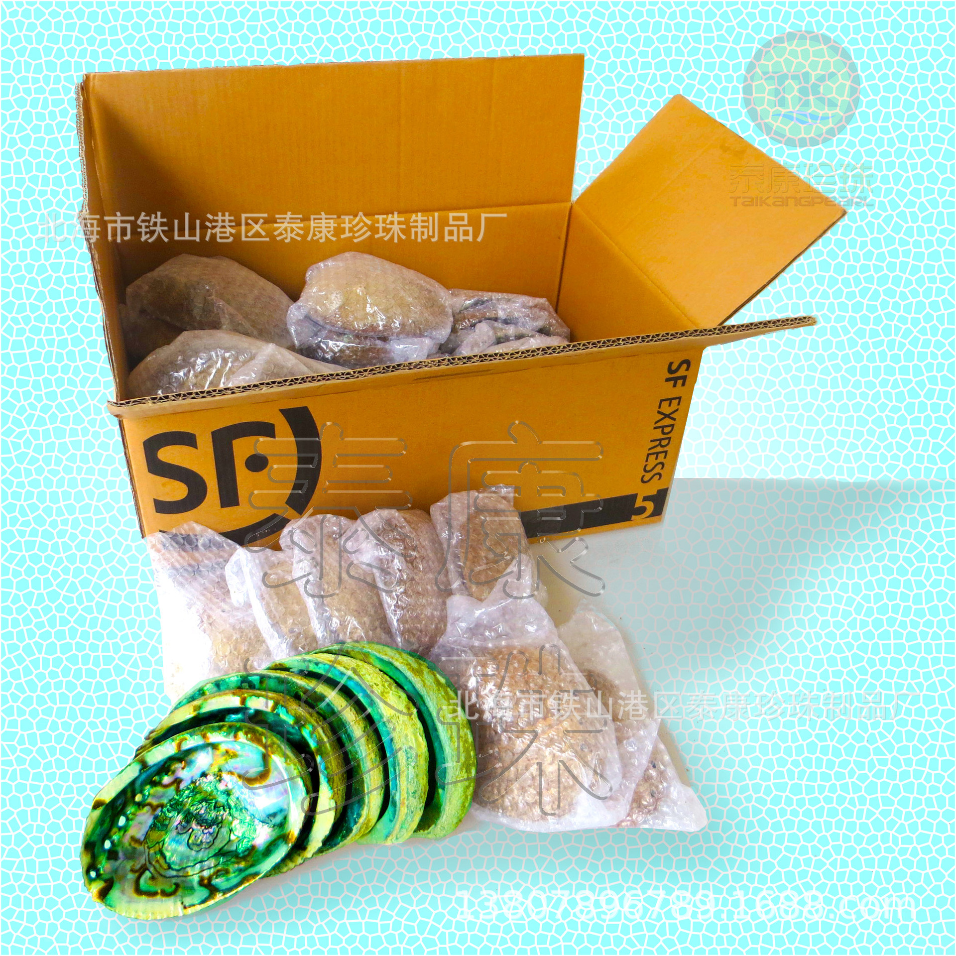 顺丰纸箱包装墨西哥鲍鱼壳MXC-BLU-AAG (16).J