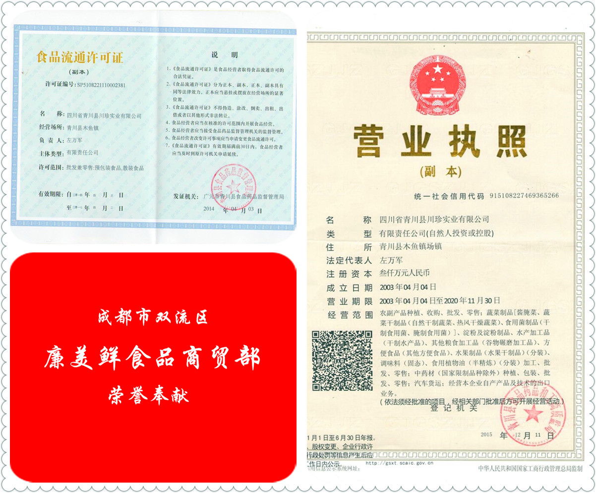 川珍营业执照_副本