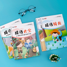 批发小学语文1-6年级累积成语大全词语积累成语接龙词语专项字帖