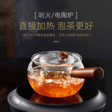木柄煮茶壺日式創意禮品不銹鋼茶漏小青柑可加熱玻璃茶壺