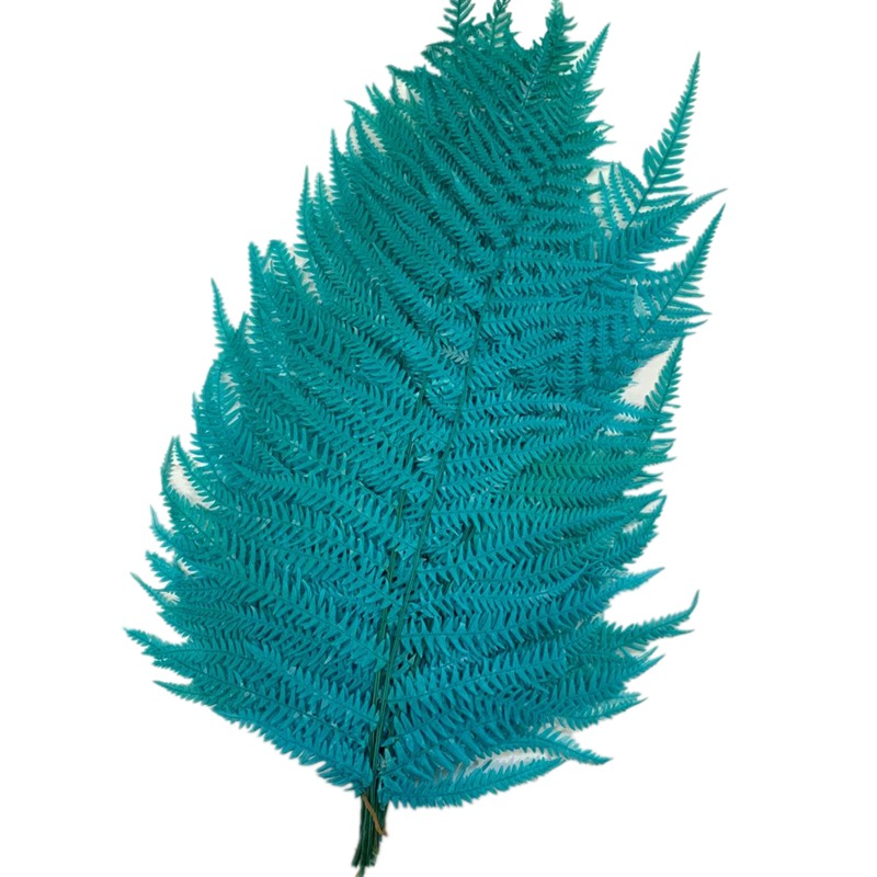 微信图片_20200420130949