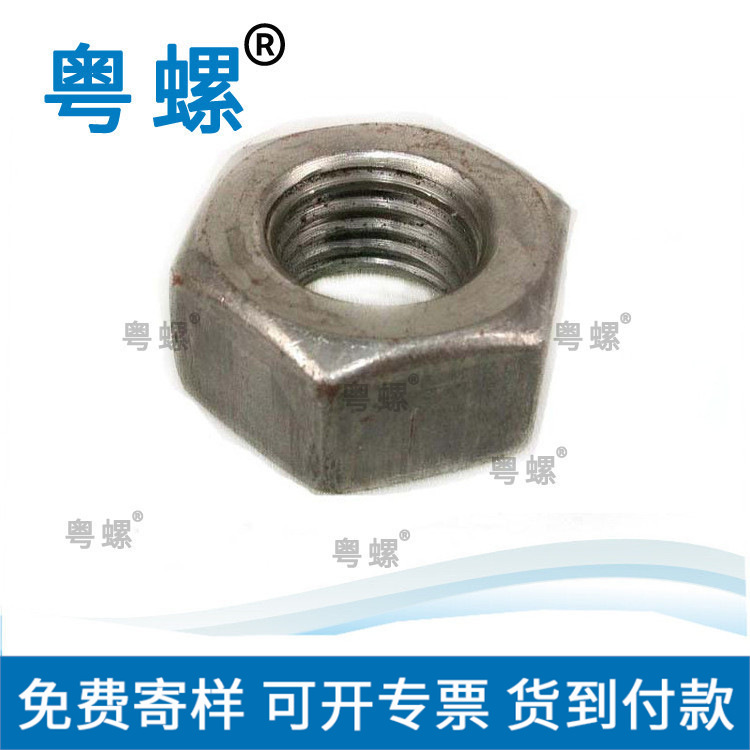  螺母 GB6170六角螺母 外六角螺母定制