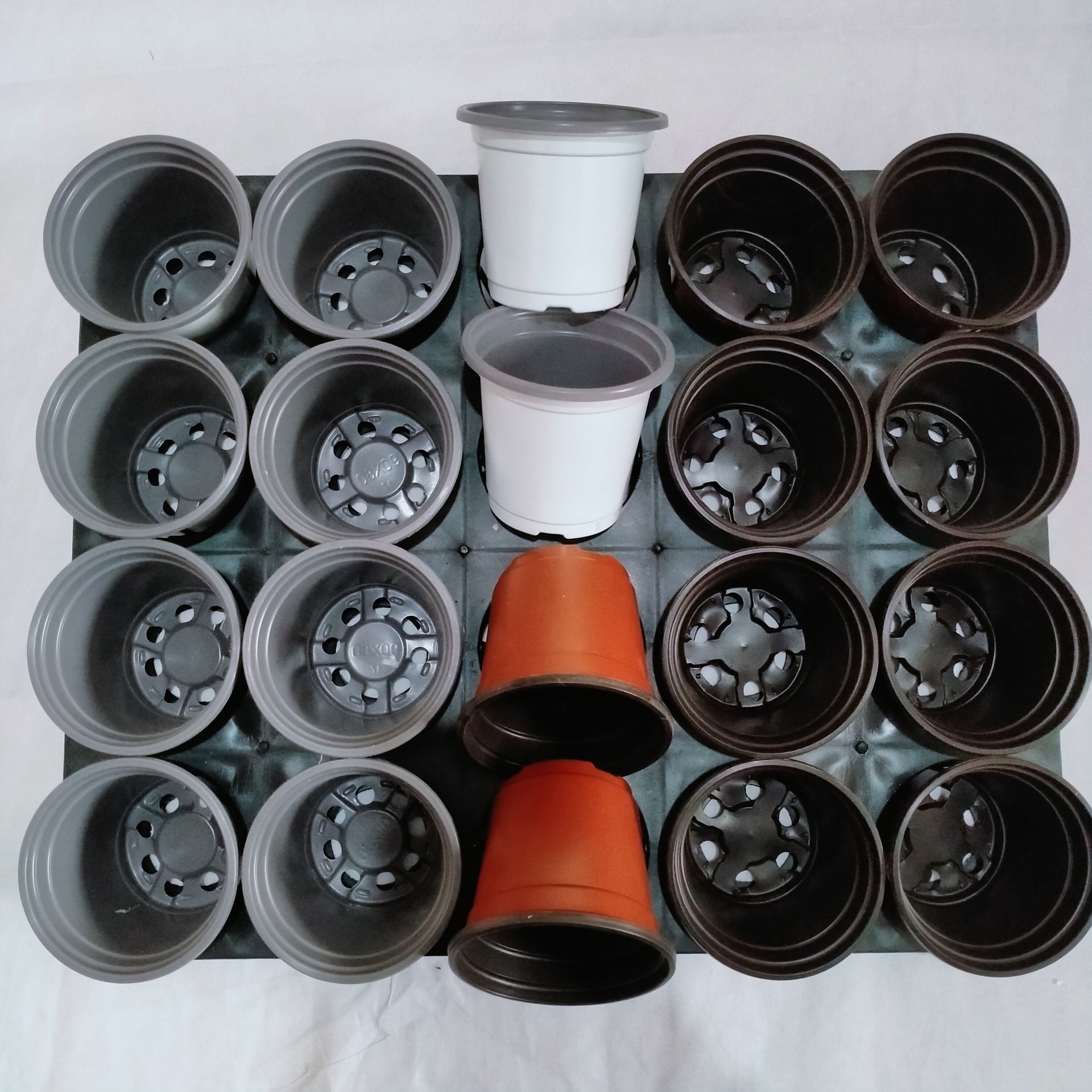 新建文件夹IMG20201121102944