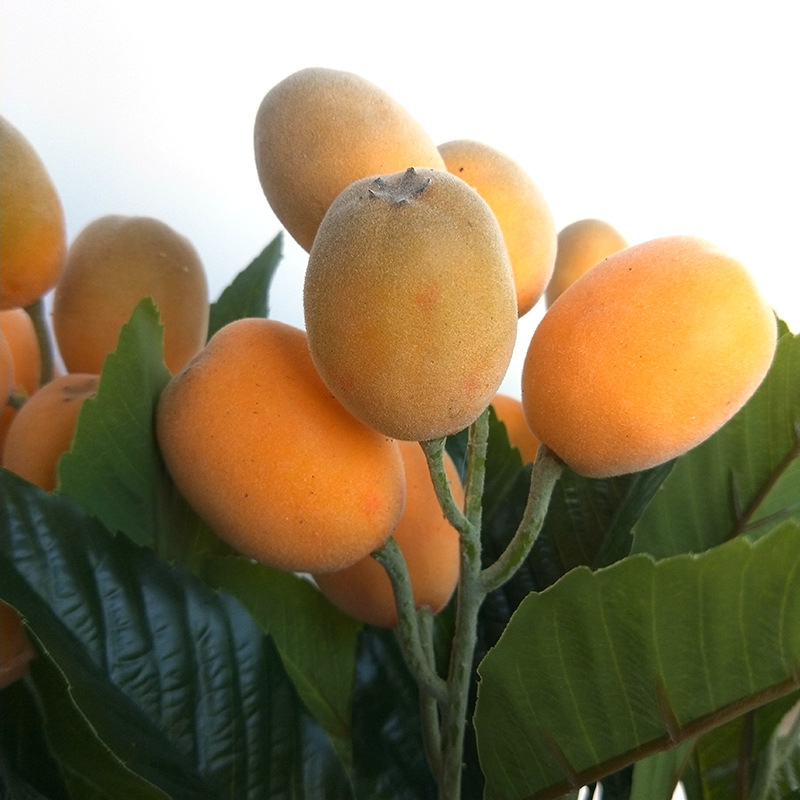 XRG-014 单支枇杷0.8米  (6).jpg