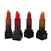 Matte waterproof lipstick, Amazon, ebay, 12 pieces