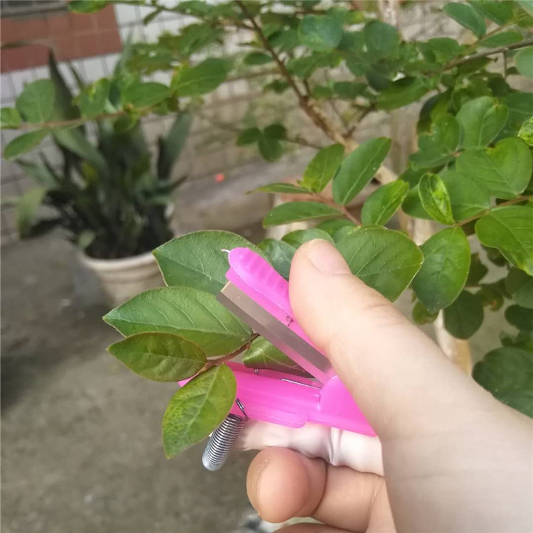 小切刀5