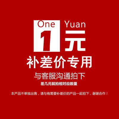 积木人仔、补差价专用|ru