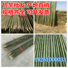 小竹竿細竹子棍1米2米菜園竹桿搭架豆角黃瓜架竹桿架種菜竹竿種苗