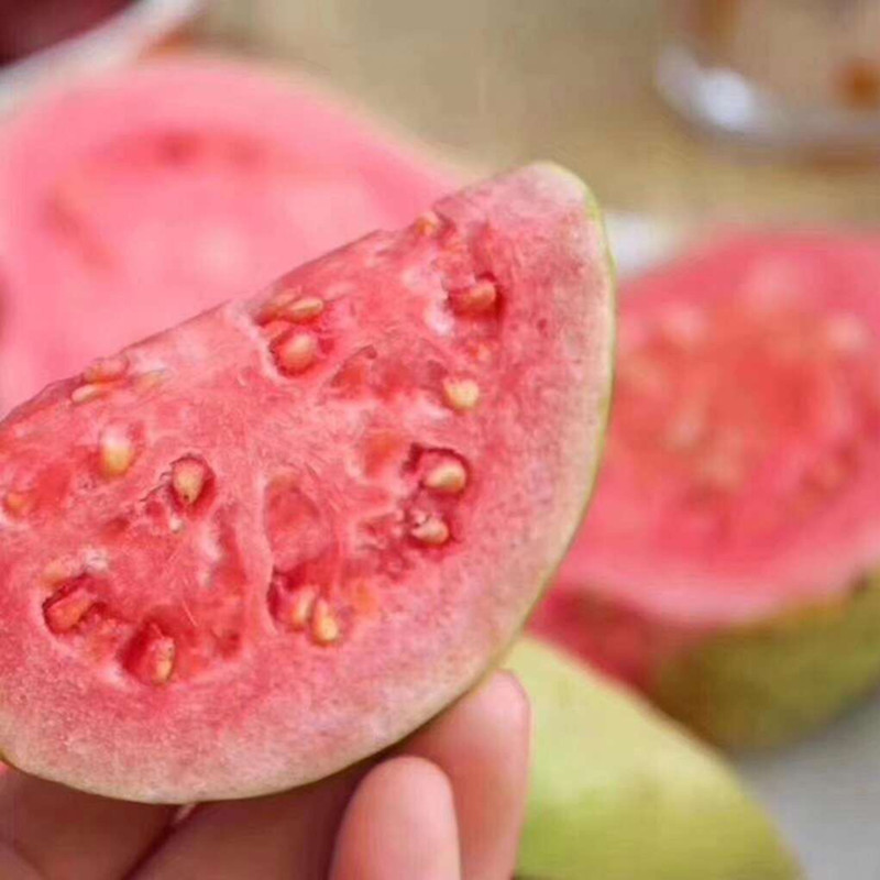 250f716311bf15b12ca5dae4252c0b