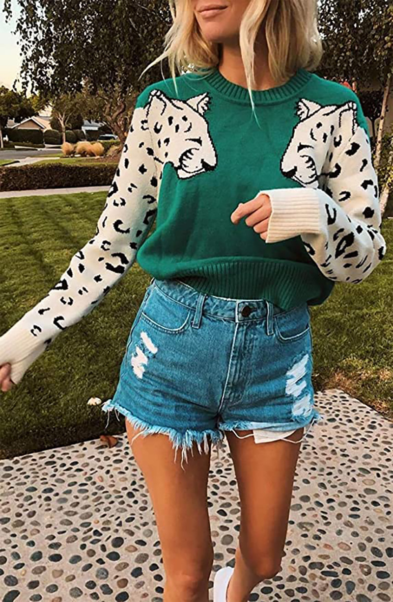 Casual Leopard Head Color-Blocking Sweater NSMMY82829