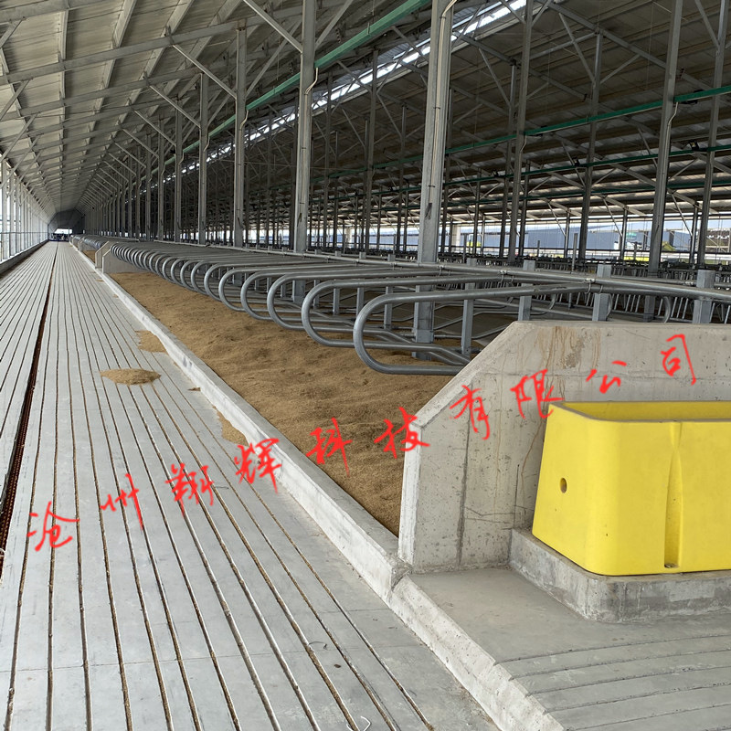 牛场用牛颈枷牛卧栏整体热浸锌犊牛栏畜牧养殖场设备定位栏奶牛