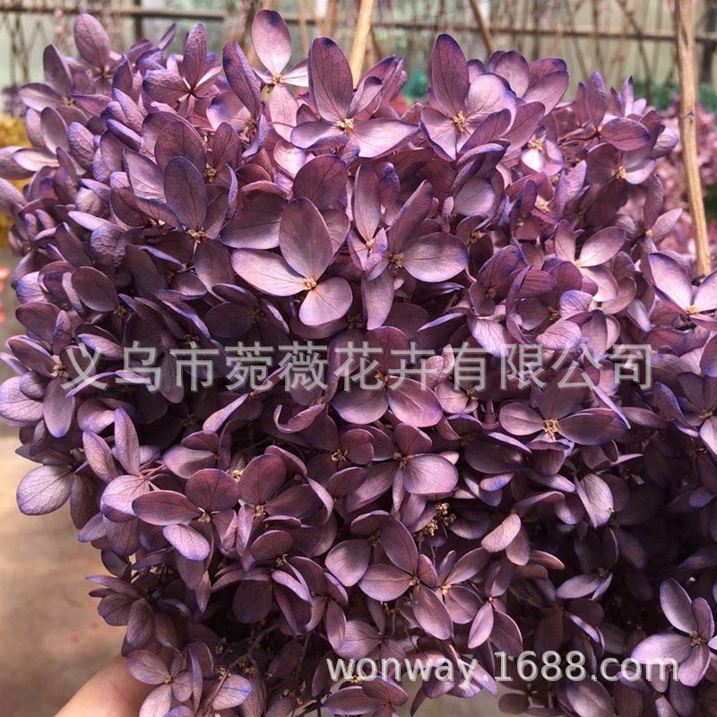 微信图片_20201025113633