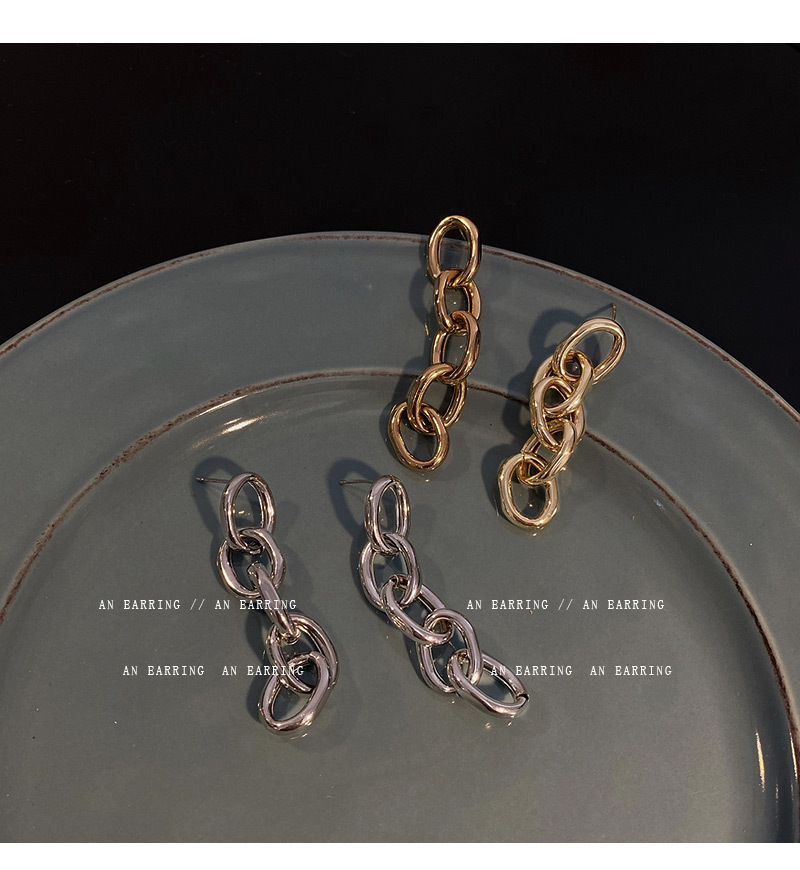 1 Pair Fashion Chains Print Alloy Plating Hollow Out Women's Drop Earrings display picture 2