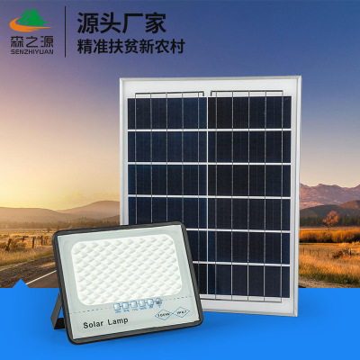 solar energy Gypsophila Cast light solar energy Cast light solar energy outdoors Courtyard New rural construction