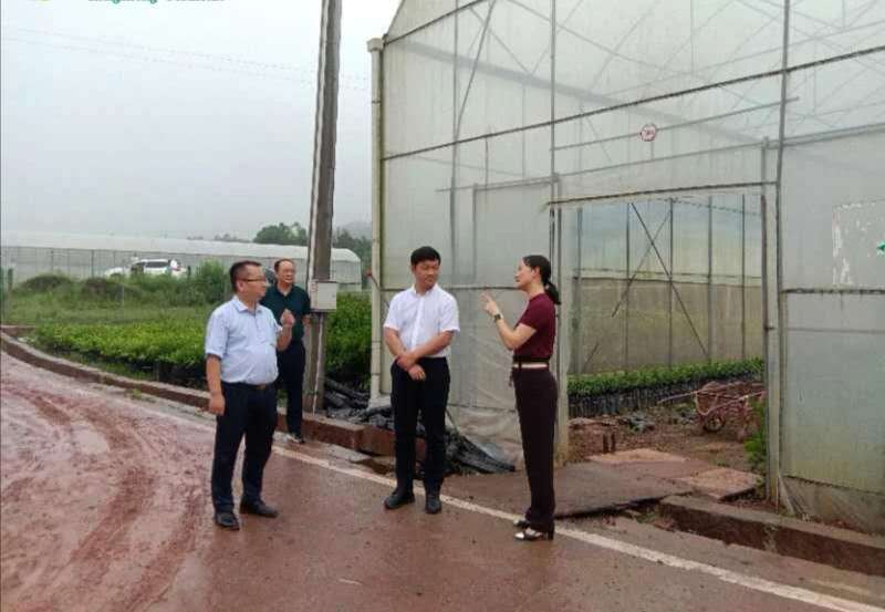 Золотые осенние фрукты 3