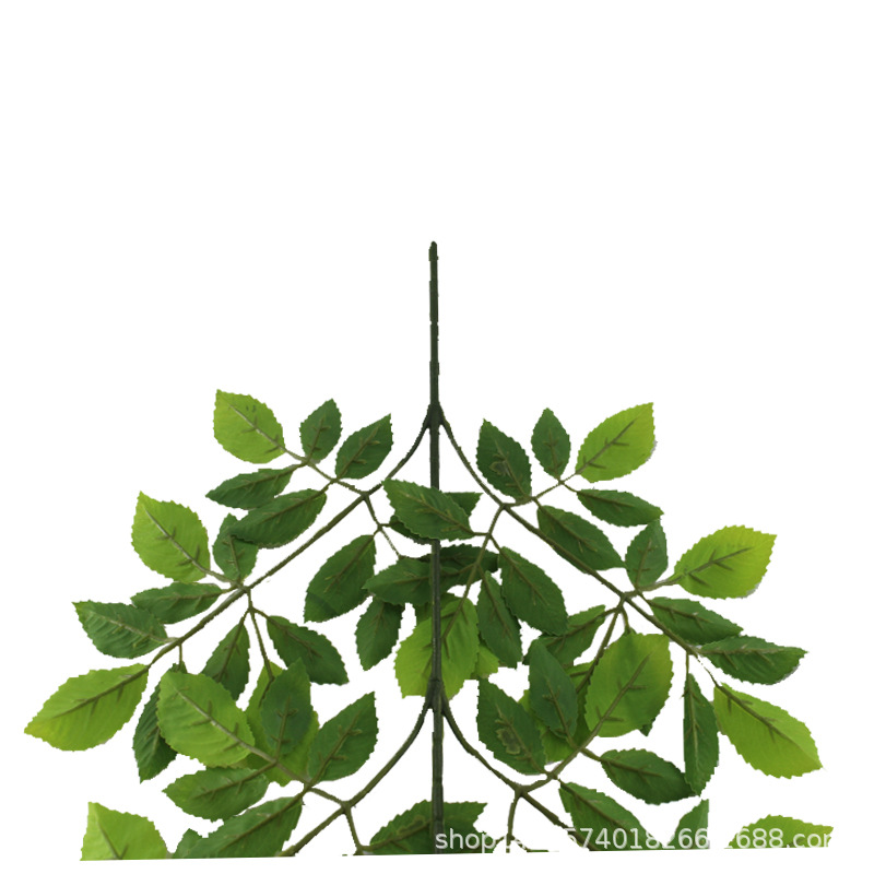 XRB-110 榆树叶五叉枝5.jpg