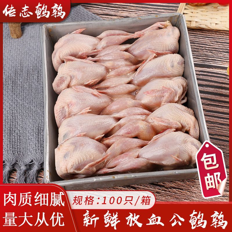 Manufactor quail 100 Ready Freezing quail Fried barbecue Stew