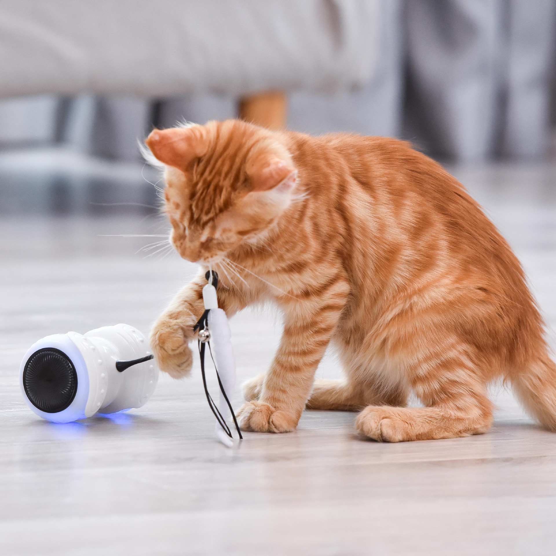 21宠物用品新品亚马逊爆款电动猫咪逗猫棒平衡摇摆车遥控猫咪玩具