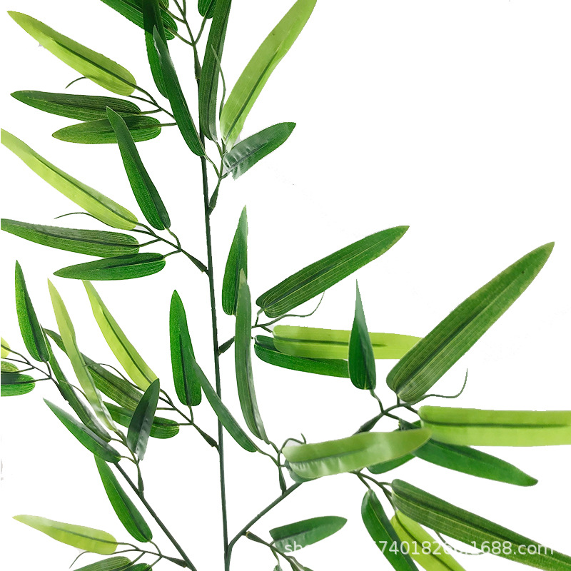 XRB-111 富贵竹叶三叉枝2.jpg