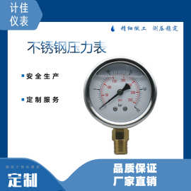 Y60径向美观耐用不锈钢外壳甘油填充压力表