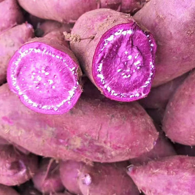 新鲜沙地紫薯 中大薯5斤9斤紫罗兰粉糯甜红薯非越南紫薯|ms