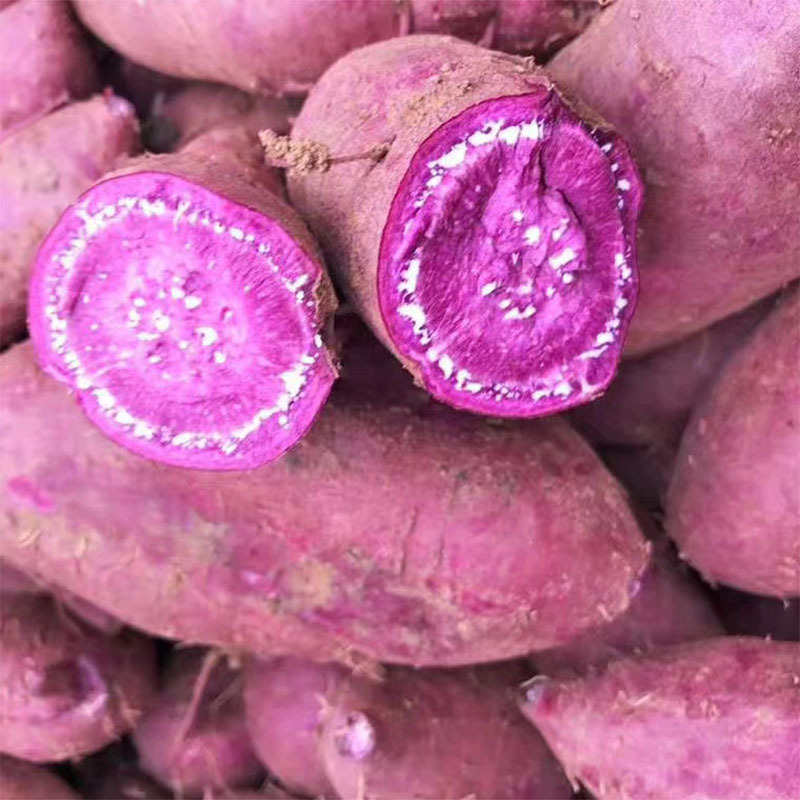 新鲜沙地紫薯 中大薯5斤9斤紫罗兰粉糯甜红薯非越南紫薯|ms