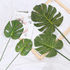 high-grade Northern Europe simulation Feel Turtle leaves simulation Leaf Soft loading Home Furnishing decorate Floor Plants