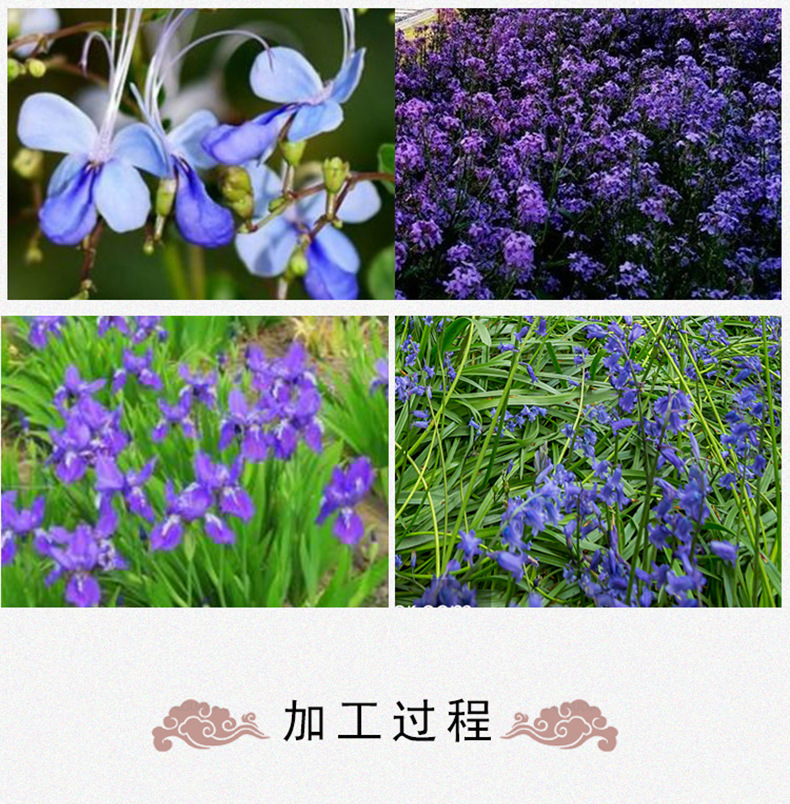 Butterfly Pea Flower Tea Dried Whole Blossoms Butterfly Pea Flower 500g Bulk Herbal Tea specifications
