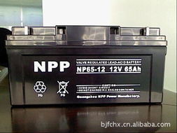 耐普蓄电池12V6H NPP蓄电池NP65-12 UPS电源 直流屏蓄电池