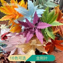 金刚山酒 金刚山酒品牌 图片 价格 金刚山酒批发 阿里巴巴