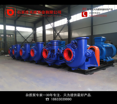 65DT-30石灰石浆液泵|ru