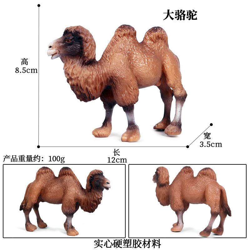 PL127-130大骆驼