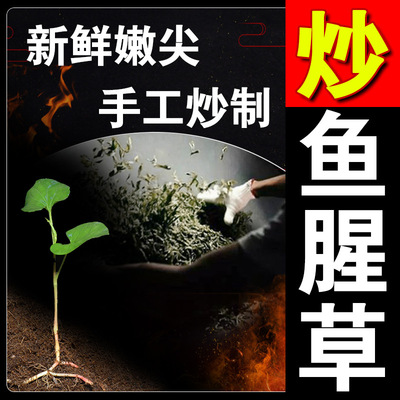 魚腥草茶手工炒制魚腥草幹折耳根四川原産地工廠批發嫩尖魚腥草茶