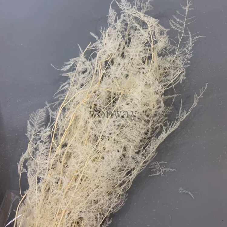 微信图片_20191112212605