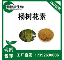 杨树花素95% 杨树花素V6 动物品 杨树花提取物 厂家现货包邮