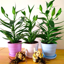 ��ˮ�ٺϻ������҃Ȼ�����ٺϷN��N�Ӵ��򻨻��ļ��_��ֲ����B