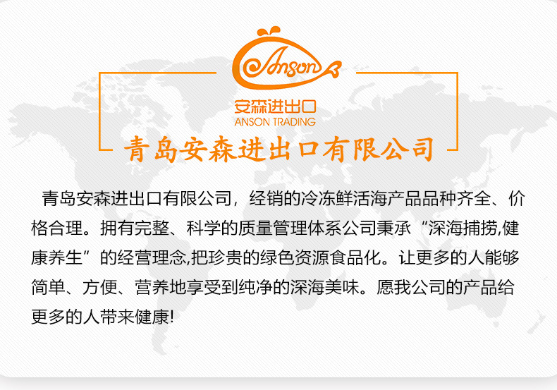 公司介绍 (1).jpg