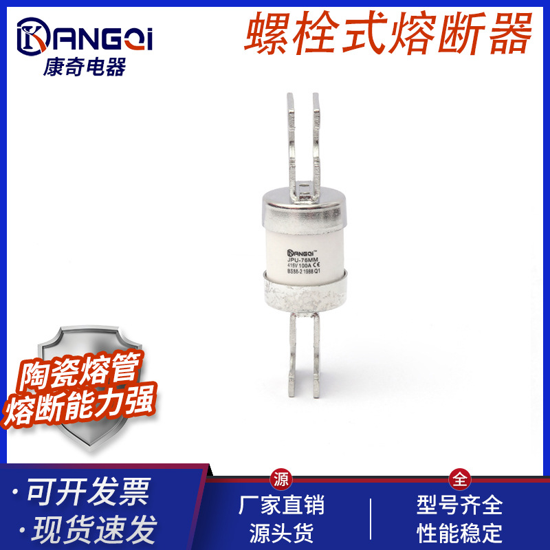 螺栓式熔断器 76MM Bolting Type Fuses