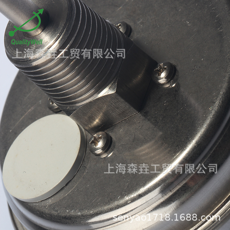 ɭ������̫���ܹ����¶ȼ� -50+150C ȫ����ֽṹ DSTT300