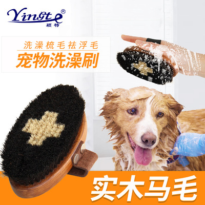 宠物梳刷 狗狗祛浮毛刷子 实木马毛刷 宠物美容清洁马鬃梳子
