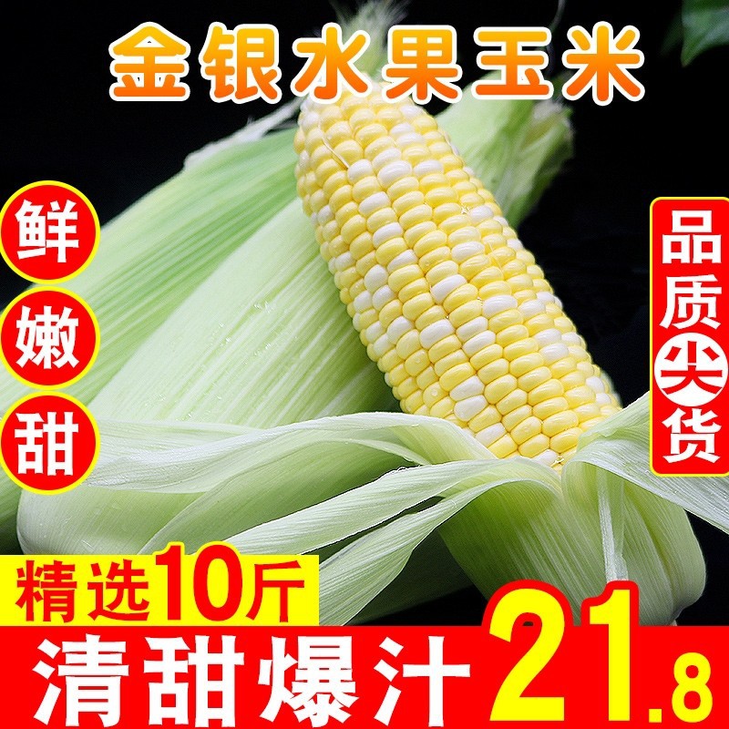 云南水果玉米新鲜爆浆牛奶甜玉米脆即食现摘嫩玉米整箱新鲜玉米|ms