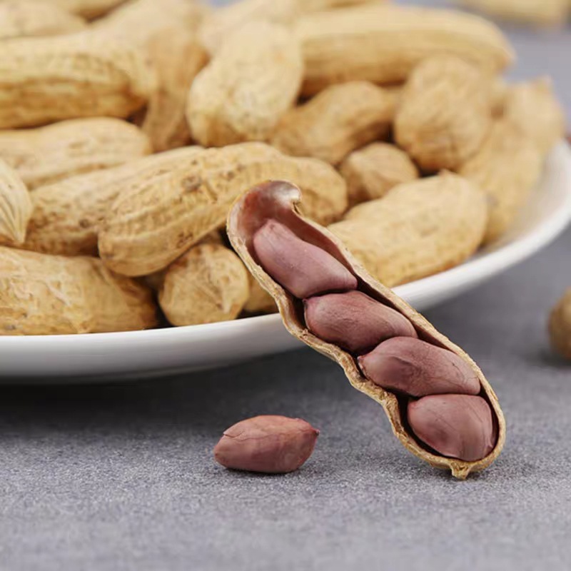 This year's new peanuts Fujian Longyan Roasted Peanuts 35 very valuable Full Crisp