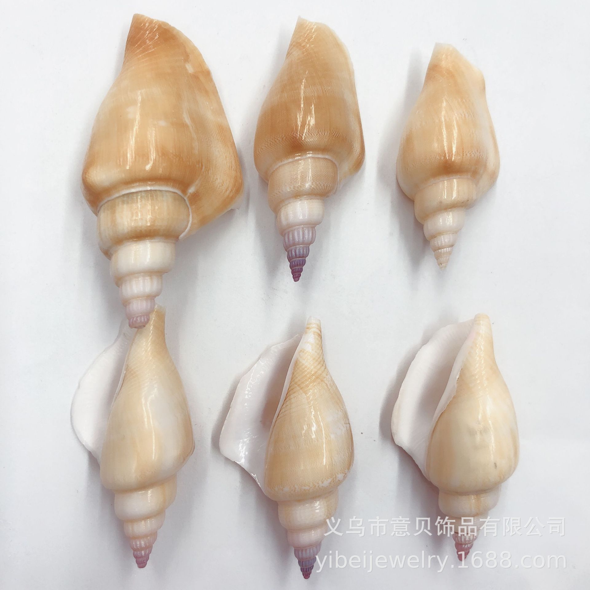 BD9608D48F7C86FAFC0E2FA45B242E