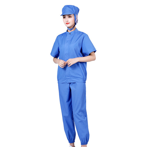Thin food workshop workwear set summer short sleeve dust-proof suit tea factory pharmaceutical factory biological factory protective clothing wholesale