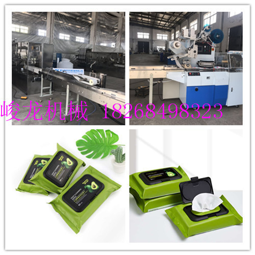 【湿巾机】网红牛油果卸妆湿巾包装设备 80片湿巾机自动设备