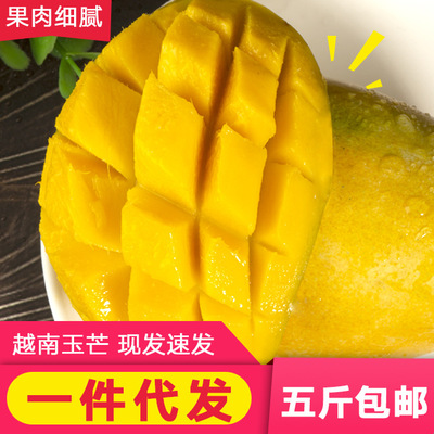 越南芒果精品甜嫩當季進口玉芒熱帶5斤當季時令新鮮水果壹件代發